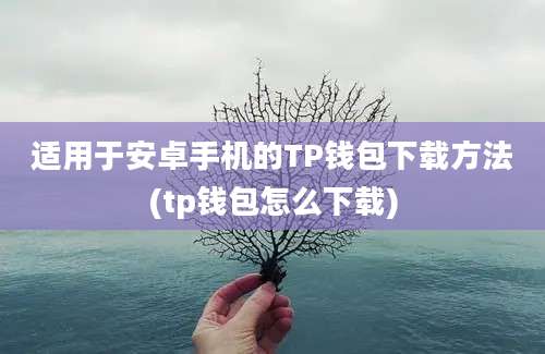 适用于安卓手机的TP钱包下载方法(tp钱包怎么下载)