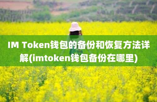 IM Token钱包的备份和恢复方法详解(imtoken钱包备份在哪里)