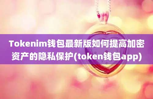 Tokenim钱包最新版如何提高加密资产的隐私保护(token钱包app)