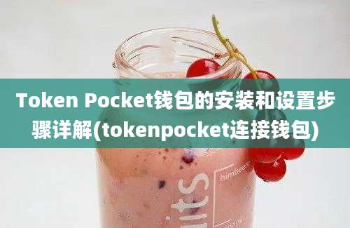 Token Pocket钱包的安装和设置步骤详解(tokenpocket连接钱包)