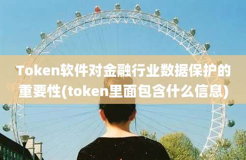 Token软件对金融行业数据保护的重要性(token里面包含什么信息)