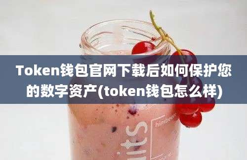 Token钱包官网下载后如何保护您的数字资产(token钱包怎么样)