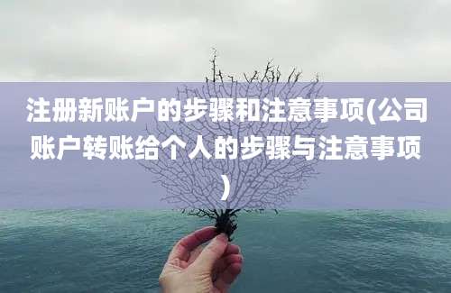 注册新账户的步骤和注意事项(公司账户转账给个人的步骤与注意事项)