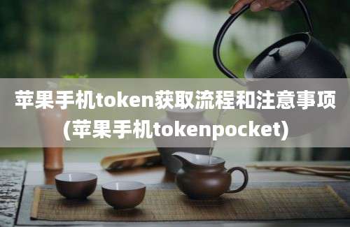 苹果手机token获取流程和注意事项(苹果手机tokenpocket)