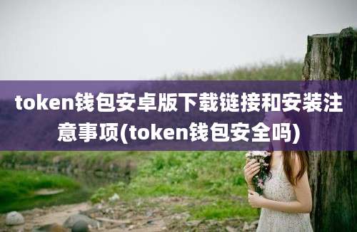 token钱包安卓版下载链接和安装注意事项(token钱包安全吗)