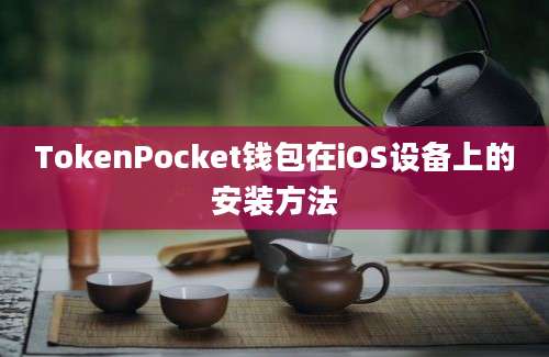 TokenPocket钱包在iOS设备上的安装方法