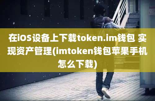 在iOS设备上下载token.im钱包 实现资产管理(imtoken钱包苹果手机怎么下载)