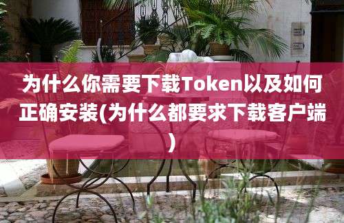 为什么你需要下载Token以及如何正确安装(为什么都要求下载客户端)