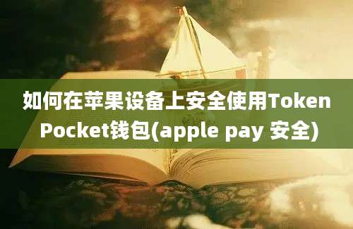 如何在苹果设备上安全使用Token Pocket钱包(apple pay 安全)