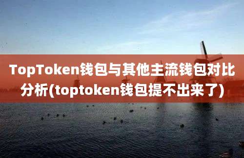 TopToken钱包与其他主流钱包对比分析(toptoken钱包提不出来了)