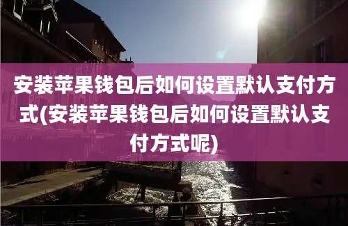 安装苹果钱包后如何设置默认支付方式(安装苹果钱包后如何设置默认支付方式呢)