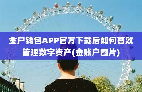 金户钱包APP官方下载后如何高效管理数字资产(金账户图片)