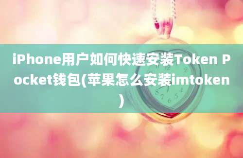 iPhone用户如何快速安装Token Pocket钱包(苹果怎么安装imtoken)