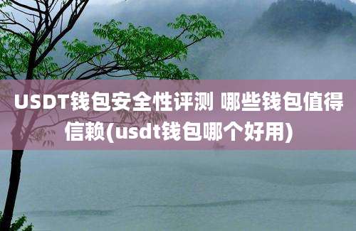 USDT钱包安全性评测 哪些钱包值得信赖(usdt钱包哪个好用)