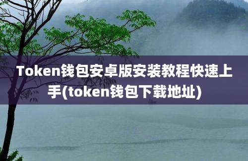 Token钱包安卓版安装教程快速上手(token钱包下载地址)