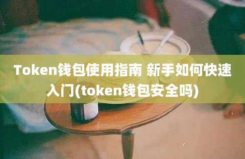 Token钱包使用指南 新手如何快速入门(token钱包安全吗)