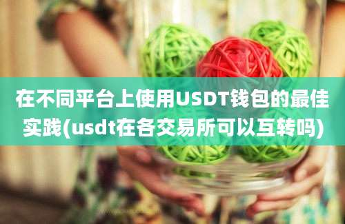 在不同平台上使用USDT钱包的最佳实践(usdt在各交易所可以互转吗)