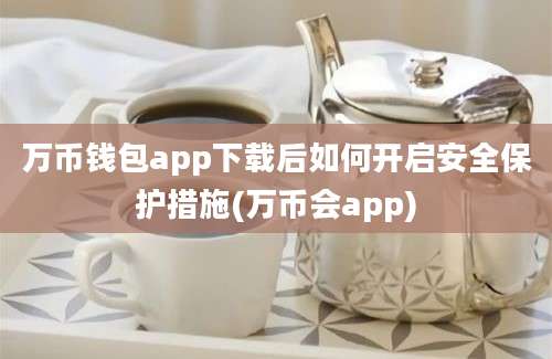 万币钱包app下载后如何开启安全保护措施(万币会app)