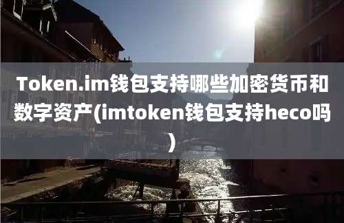 Token.im钱包支持哪些加密货币和数字资产(imtoken钱包支持heco吗)