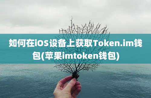 如何在iOS设备上获取Token.im钱包(苹果imtoken钱包)