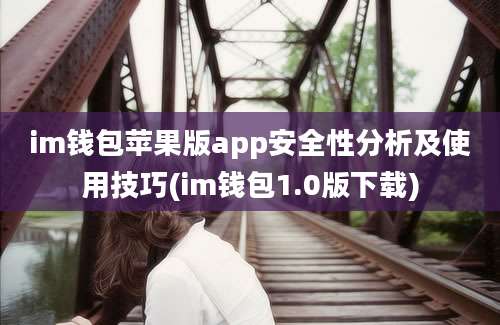 im钱包苹果版app安全性分析及使用技巧(im钱包1.0版下载)