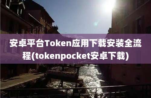 安卓平台Token应用下载安装全流程(tokenpocket安卓下载)