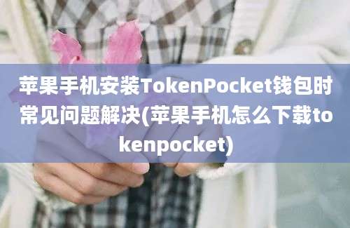 苹果手机安装TokenPocket钱包时常见问题解决(苹果手机怎么下载tokenpocket)