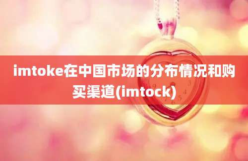 imtoke在中国市场的分布情况和购买渠道(imtock)