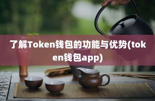 了解Token钱包的功能与优势(token钱包app)