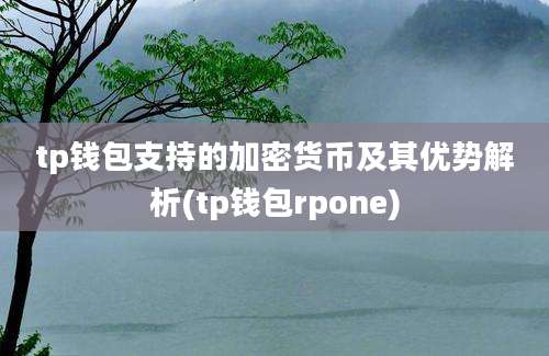 tp钱包支持的加密货币及其优势解析(tp钱包rpone)