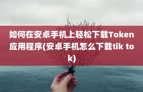 如何在安卓手机上轻松下载Token应用程序(安卓手机怎么下载tik tok)