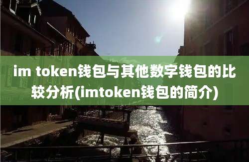 im token钱包与其他数字钱包的比较分析(imtoken钱包的简介)