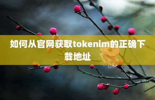 如何从官网获取tokenim的正确下载地址