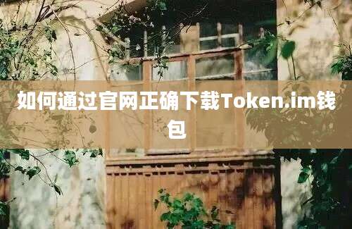 如何通过官网正确下载Token.im钱包