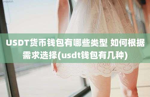 USDT货币钱包有哪些类型 如何根据需求选择(usdt钱包有几种)