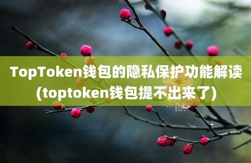 TopToken钱包的隐私保护功能解读(toptoken钱包提不出来了)