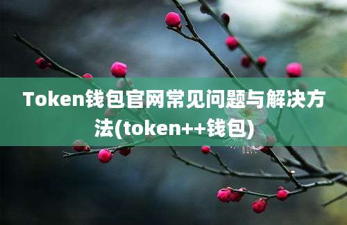 Token钱包官网常见问题与解决方法(token++钱包)