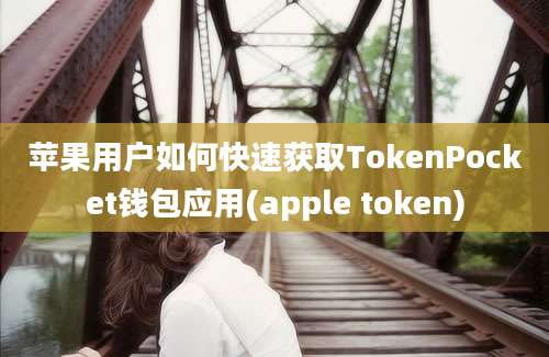 苹果用户如何快速获取TokenPocket钱包应用(apple token)