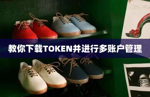 教你下载TOKEN并进行多账户管理