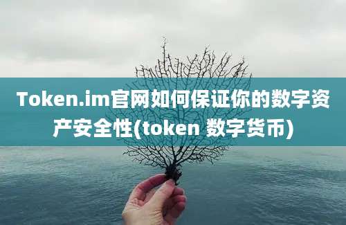 Token.im官网如何保证你的数字资产安全性(token 数字货币)