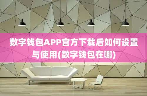 数字钱包APP官方下载后如何设置与使用(数字钱包在哪)