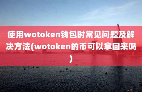 使用wotoken钱包时常见问题及解决方法(wotoken的币可以拿回来吗)