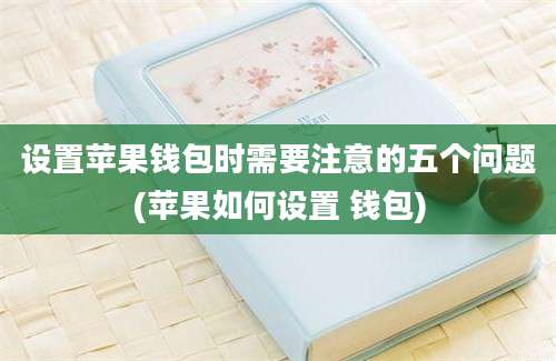 设置苹果钱包时需要注意的五个问题(苹果如何设置 钱包)