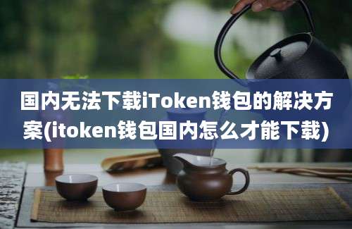 国内无法下载iToken钱包的解决方案(itoken钱包国内怎么才能下载)