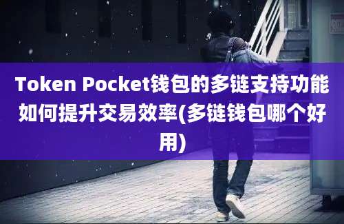 Token Pocket钱包的多链支持功能如何提升交易效率(多链钱包哪个好用)