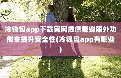 冷钱包app下载官网提供哪些额外功能来提升安全性(冷钱包app有哪些)