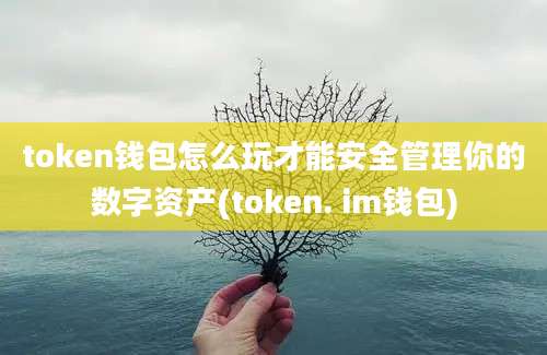 token钱包怎么玩才能安全管理你的数字资产(token. im钱包)