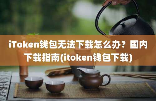 iToken钱包无法下载怎么办？国内下载指南(itoken钱包下载)