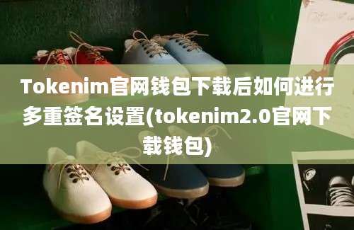 Tokenim官网钱包下载后如何进行多重签名设置(tokenim2.0官网下载钱包)