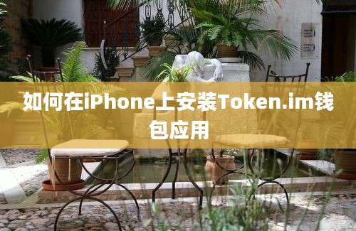 如何在iPhone上安装Token.im钱包应用